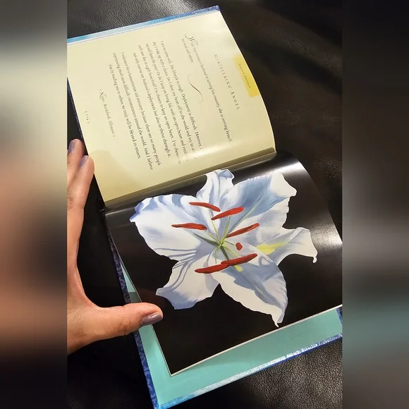 Among Angels by - Hardcover Book By Jane Seymour Inspirational Fully Illustrated - Picture 5 of 6